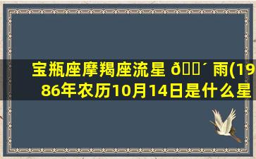 宝瓶座摩羯座流星 🐴 雨(1986年农历10月14日是什么星座)